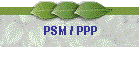 PSM / PPP